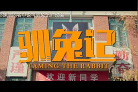 豆瓣8.2《驯兔记》丨缺席的思辨能力，滥用的标准答案图片