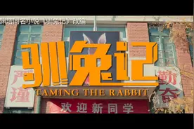 豆瓣8.2《驯兔记》丨缺席的思辨能力，滥用的标准答案图片
