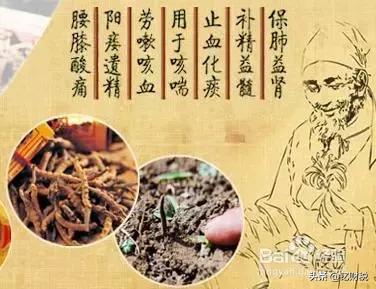 “智商税”——成功的营销策略