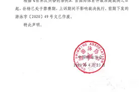 孙杨入选奥运集训名单？中国游泳协会：作废图片