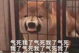 表情包：谢谢你啊，这么忙还来亲自伤害我图片