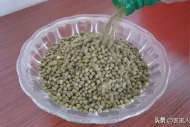 绿豆别只会煲糖水，教你一个夏季早餐吃法，软糯香甜，解暑又解馋图片