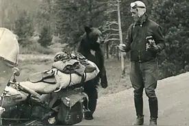 国外网友晒父母年轻照，比现在的我们潮太多了图片