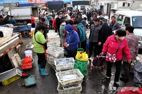 吃鲜季节来啦！八带鮹虾爬稳居第一，昔日不起眼的海货现成稀罕物图片