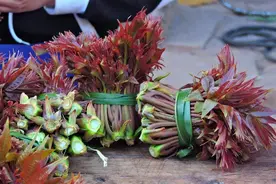 4月份，别再吃大鱼大肉了，城里人都吃这种香椿酱，这味道绝了图片