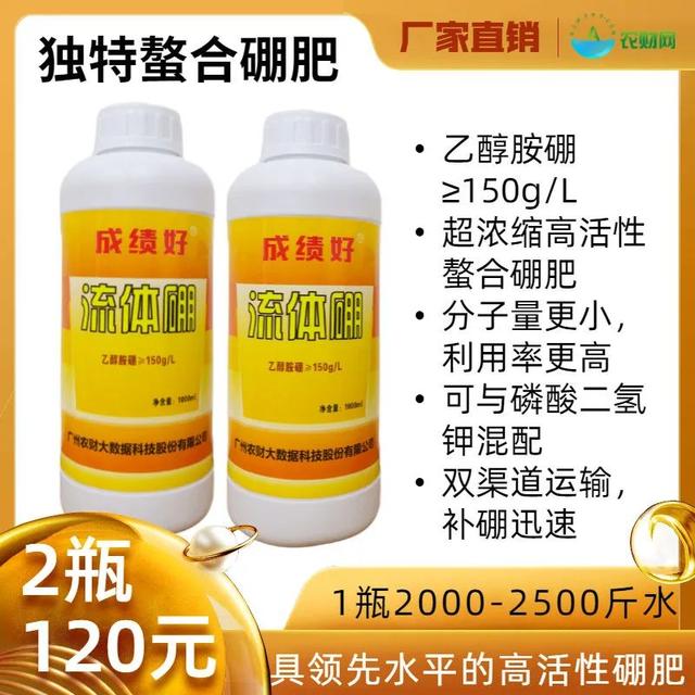 鑺辨湡琛ョ〖锛岃繕鏄ˉ閽欓晛纭硷紵杩樻槸鍏ㄩ兘琛ワ紵瀹為獙鏁版嵁鍛婅瘔浣犺琛ヤ粈涔? onerror=
