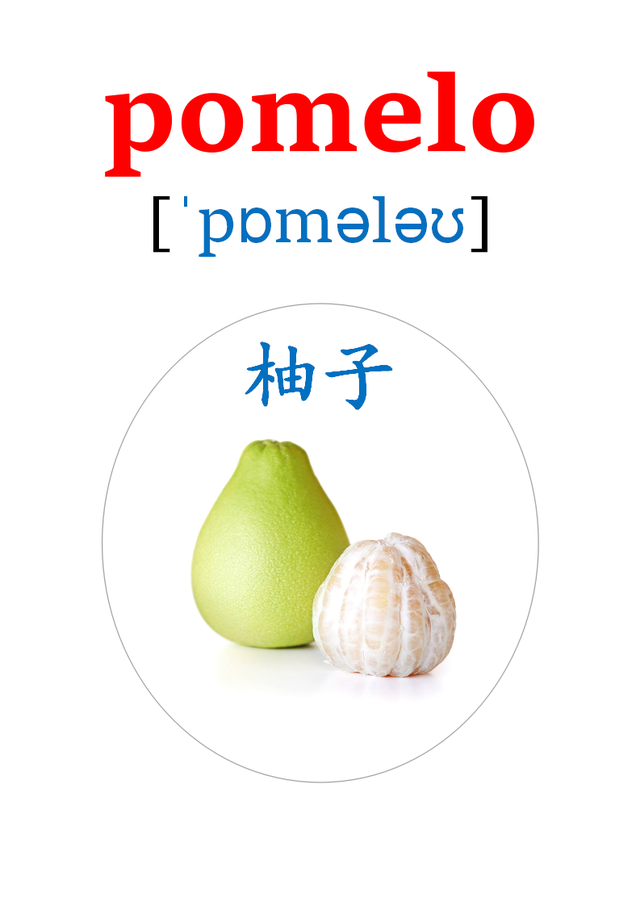 英语卡片来了！20多种水果的英语单词！apple、orange、pear