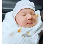 “深情好男人”林生斌再婚生女，这才是婚姻中最残酷的现实图片