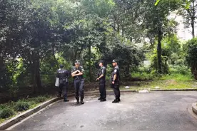 今天，杭州复兴南苑传出两声枪声！100多斤的大野猪闯进学校，在操场上遛达图片