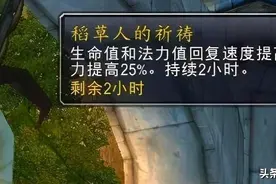 魔兽世界怀旧服：稻草人的祈祷，多数职业没啥用，仅对治疗有提升图片
