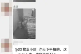 小心了！这一小区超载电梯仍能正常运行！一不小心还会突然掉层图片