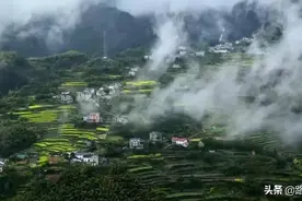清早动脑体操：这些古诗词中的冷知识你知道多少？图片