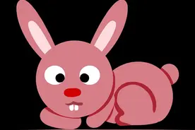 简笔画 | 十二生肖简笔画，上手简单，一学就会，赶快收藏画起来吧图片