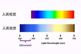 寂静无人的深夜，狗叫真的是因鬼来了？答案还真不是图片