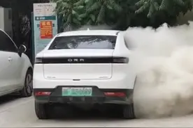 欧拉汽车频频自燃？被太原充电站集体拉黑？事情的真相是这样的图片