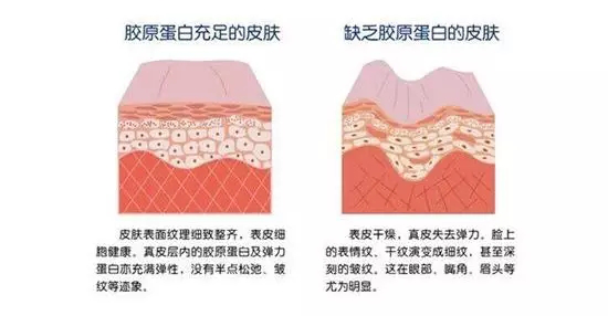 涓€璧锋潵鎻鑳跺師铔嬬櫧鐨勯獥灞€锛屽綋骞村悆鐨勮兌鍘熻泲鐧借浣犵編浜嗗悧锛? onerror=