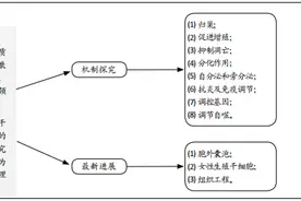 间充质干细胞治疗卵巢早衰的最新进展及机制图片