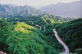 国土绿化行动|山东方案：承包荒山千亩以上将给予3%的建设用地开发使用权图片