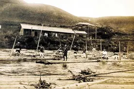 东北的排帮放完排之后，要请“白客”，这究竟是怎么一回事图片