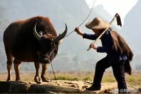 2020年“二龙治水，十人分饼”啥意思？今年是七分年头？图片