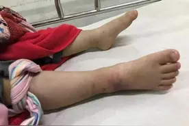 惊险！毒蛇溜进家中，3岁男童不知危险竟和它玩起来了图片