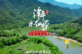 福山福水出福茶｜漳平水仙茶图片