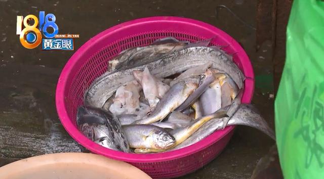 一斤鲜鳗鱼出多少鳗鱼干 2026年一斤鲜鳗鱼出多少鳗鱼干正常