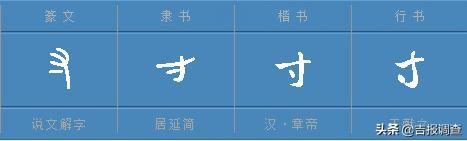 “说文解字”巧说“年”——年夜饭背后的“味道”好丰富……