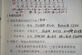《语文园地四》教材浅析与课堂笔记图片