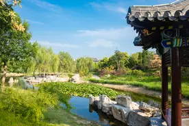 周末哪里玩！你知道沧州这个地方藏着华北地区县级城市中最大的淡水型公园吗？图片