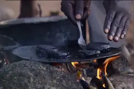 蚊子也能做肉饼？非洲传统美食“蚊子汉堡”，蛋白质比牛肉高7倍图片