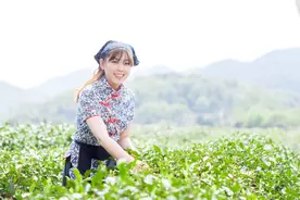 农村俗语“寡年春来早，秋后人吃草”啥意思？老话说得有理么？图片