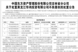 黑龙江华鸿投资有限公司不良债权进行公开转让图片