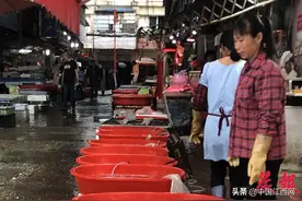 南昌水产批发市场要搬“新家” 新市场建设将于今年启动图片