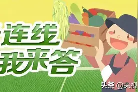 珍珠有不少秘密，看了这篇文，你就懂了图片