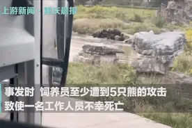 27岁饲养员被熊群撕扯身亡：你看它是熊，它看你是一盘活肉图片