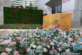 昆明这个新盘1.7万/㎡起，上车巫家坝最低门槛？图片