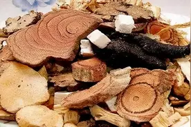 一文讲清中药通便药图片