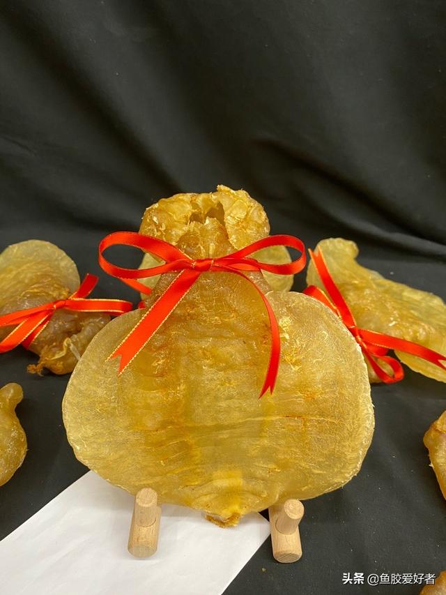 石肚鱼胶的价位 2025年石肚鱼胶一斤多少钱