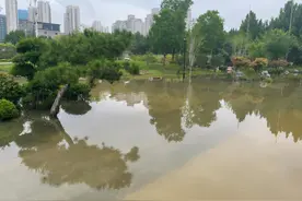 平均降水量超往年五成！今年河南雨水多的原因是什么？图片
