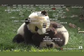 这些常见弹幕，是不是让你一眼爷青回？图片