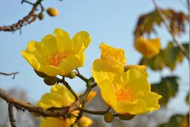 已婚女人被异性追求，她心里是怎么想的？这老人说出了心里话图片