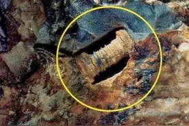 地球上真有史前文明？化石中发现齿轮螺丝钉，主角是“冬虫夏草”图片