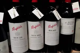 澳洲最大红酒品牌奔富面临危机，出口受阻，产品滞销，股价暴跌图片