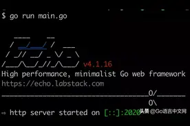 Go 语言 Web 框架 Echo 系列：基础篇—搭建 Echo 开发环境图片