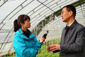专治春季大棚蔬菜病虫害！西农大专家现场开“药方”图片