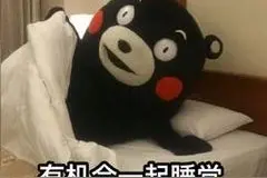 搞笑表情包 | 熊本熊系列，真是一肚子坏水啊图片