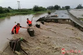 防汛抢险 绵竹市人大代表在行动图片