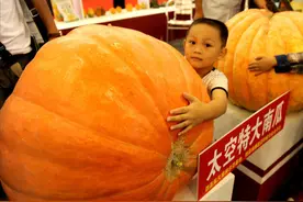 为何神舟升天都携带种子？关乎世界性粮食危机，浅谈太空育种技术图片
