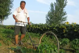 姨父死后多天才被发现，在他的床下翻出四张存折，总计11.6万元图片